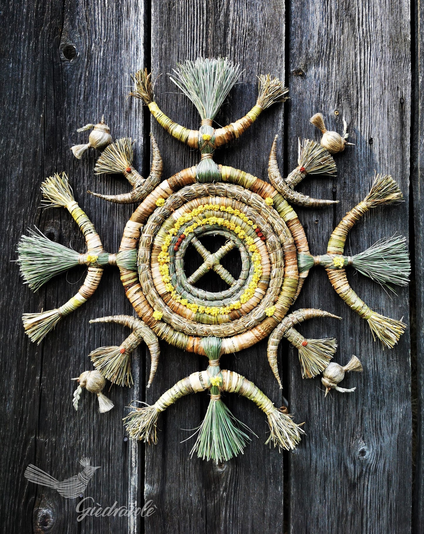 Circle of life flow 2