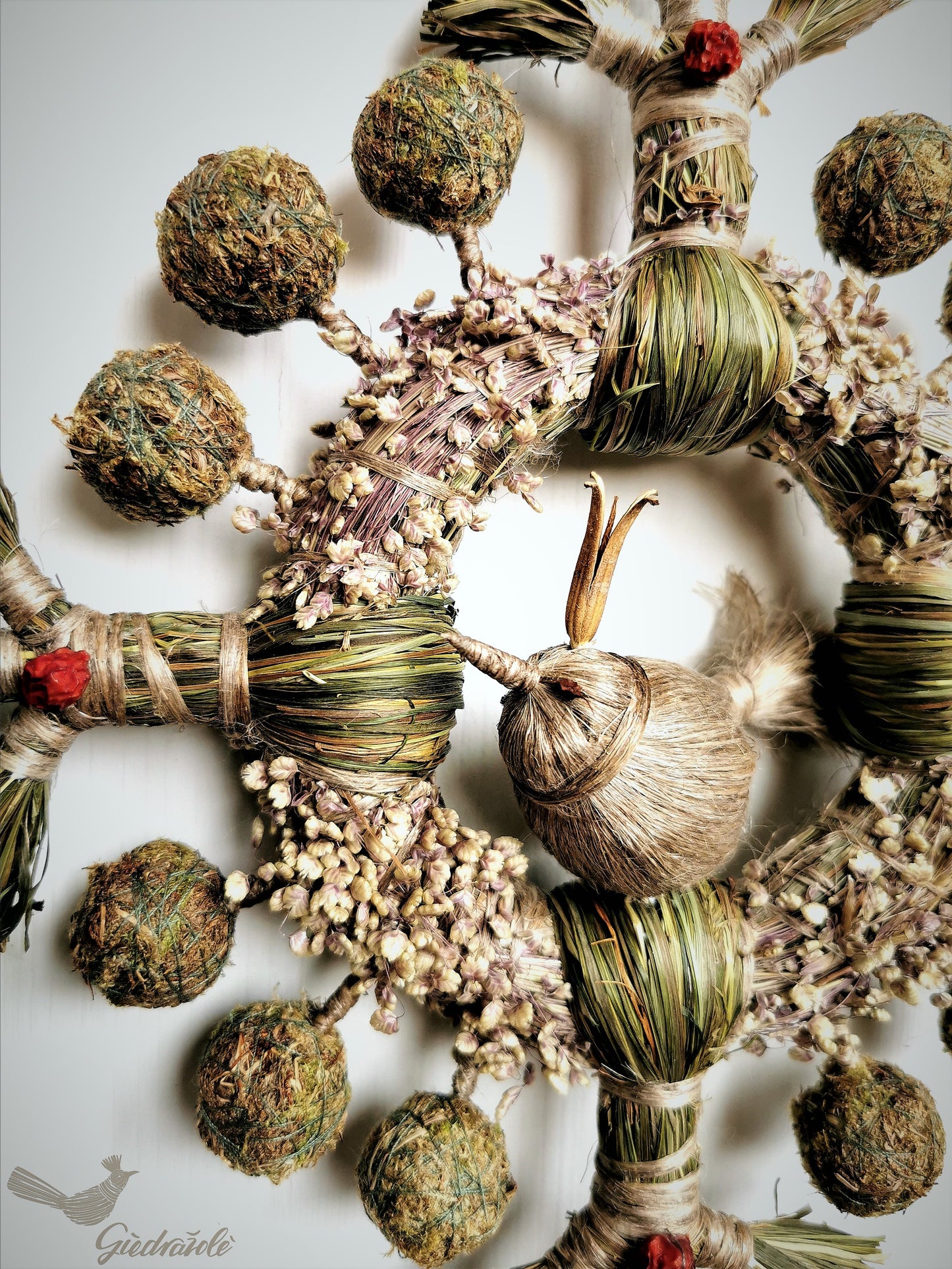 Sun, twelve months and two birds